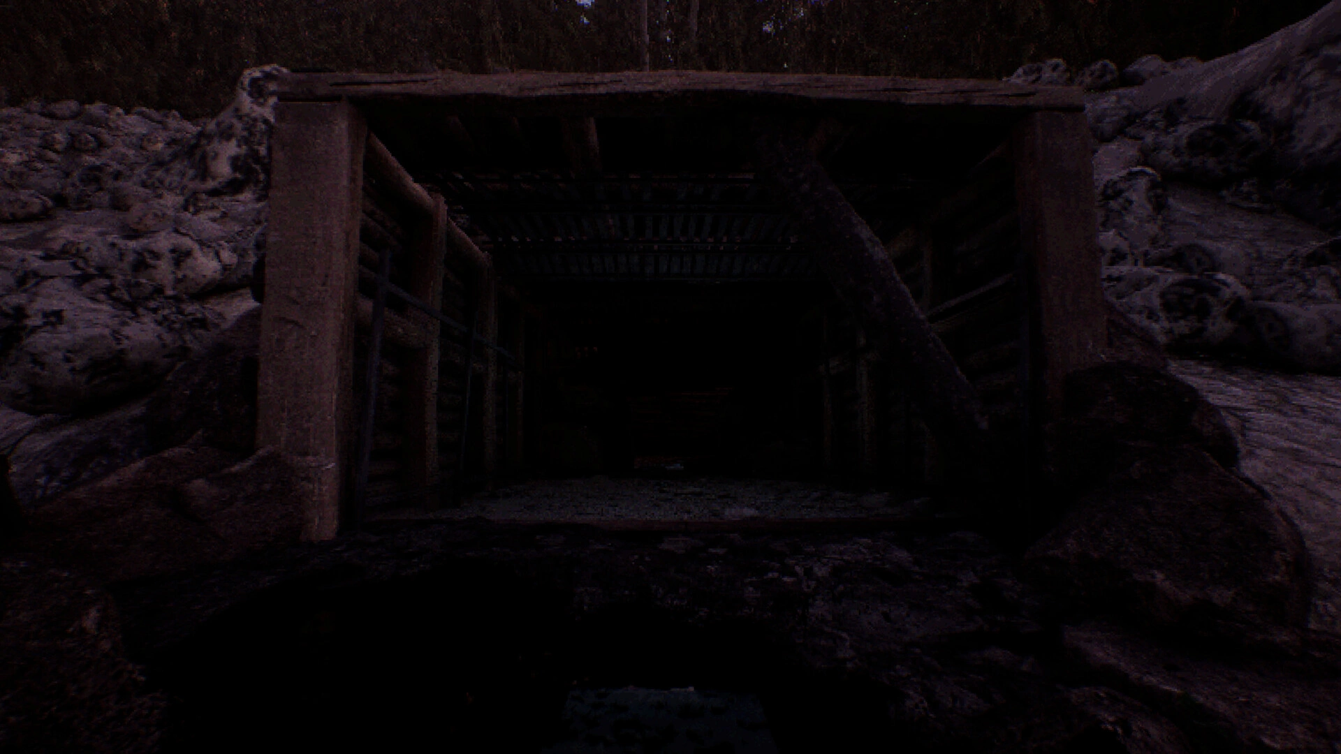 凝视之林：虱子/The Watching Woods: The Louse