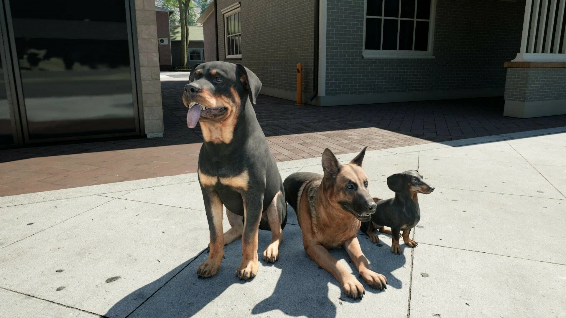 1615168869420538.jpg 6.jpg