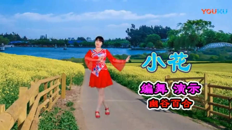 精选高清广场舞视频教学合集500首