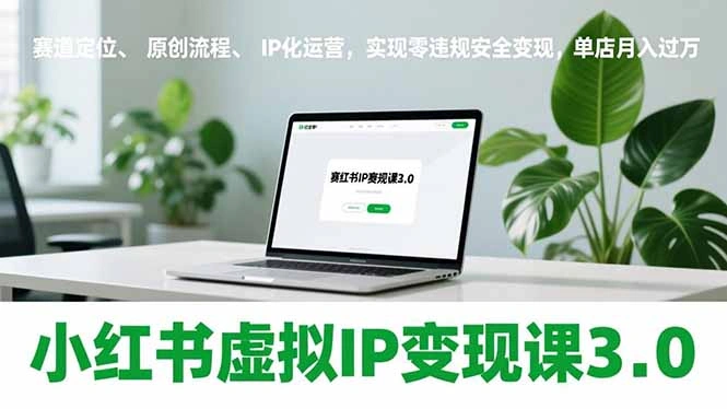 小红书虚拟IP变现课3.0，赛道定位、原创流程、IP化运营，实现零违规安全变现，单店月入过万-科技美南博客