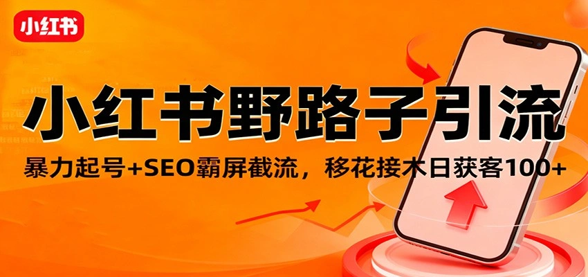 小红书野路子引流,暴力起号+SEO霸屏截流,移花接木日获客100+-科技美南博客