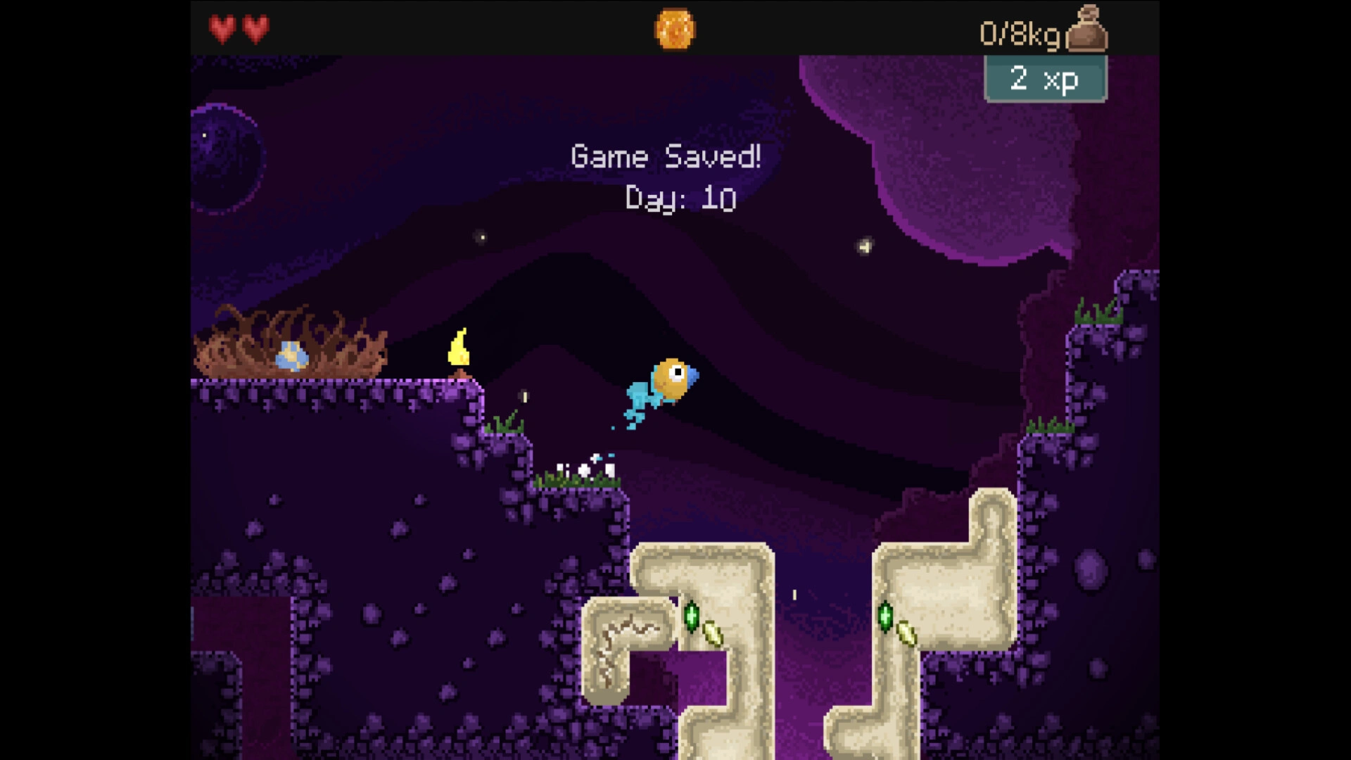 钻头鸟/Drill Bird-科技美南博客