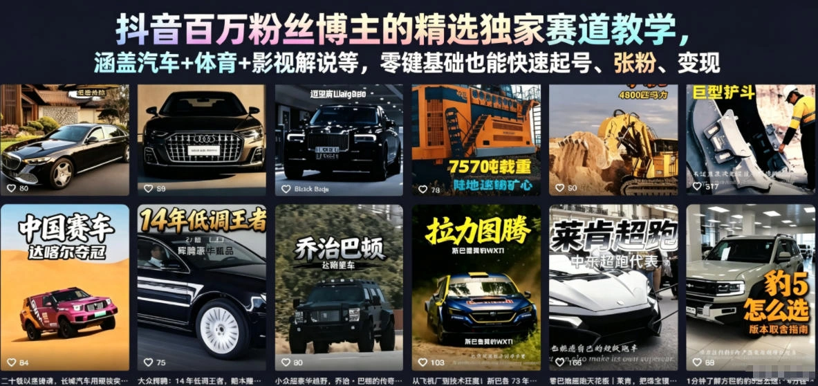 抖音百万粉丝博主的精选独家赛道教学，涵盖汽车+体育+影视解说等，零基础也能快速起号、涨粉、变现(更新0701)-科技美南博客
