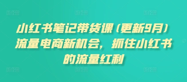小红书笔记带货课，流量电商新机会，抓住小红书的流量红利(更新26年2月)-科技美南博客