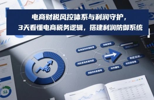 电商财税风控体系与利润守护，3天看懂电商税务逻辑，搭建利润防御系统-科技美南博客