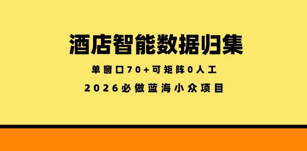 酒店智能数据归集，小众蓝海已经稳定半年之久，单窗口70+零成本矩阵开干【揭秘】-科技美南博客