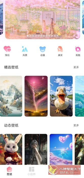 91熊猫桌面主题v1.0.6高级版-科技美南博客