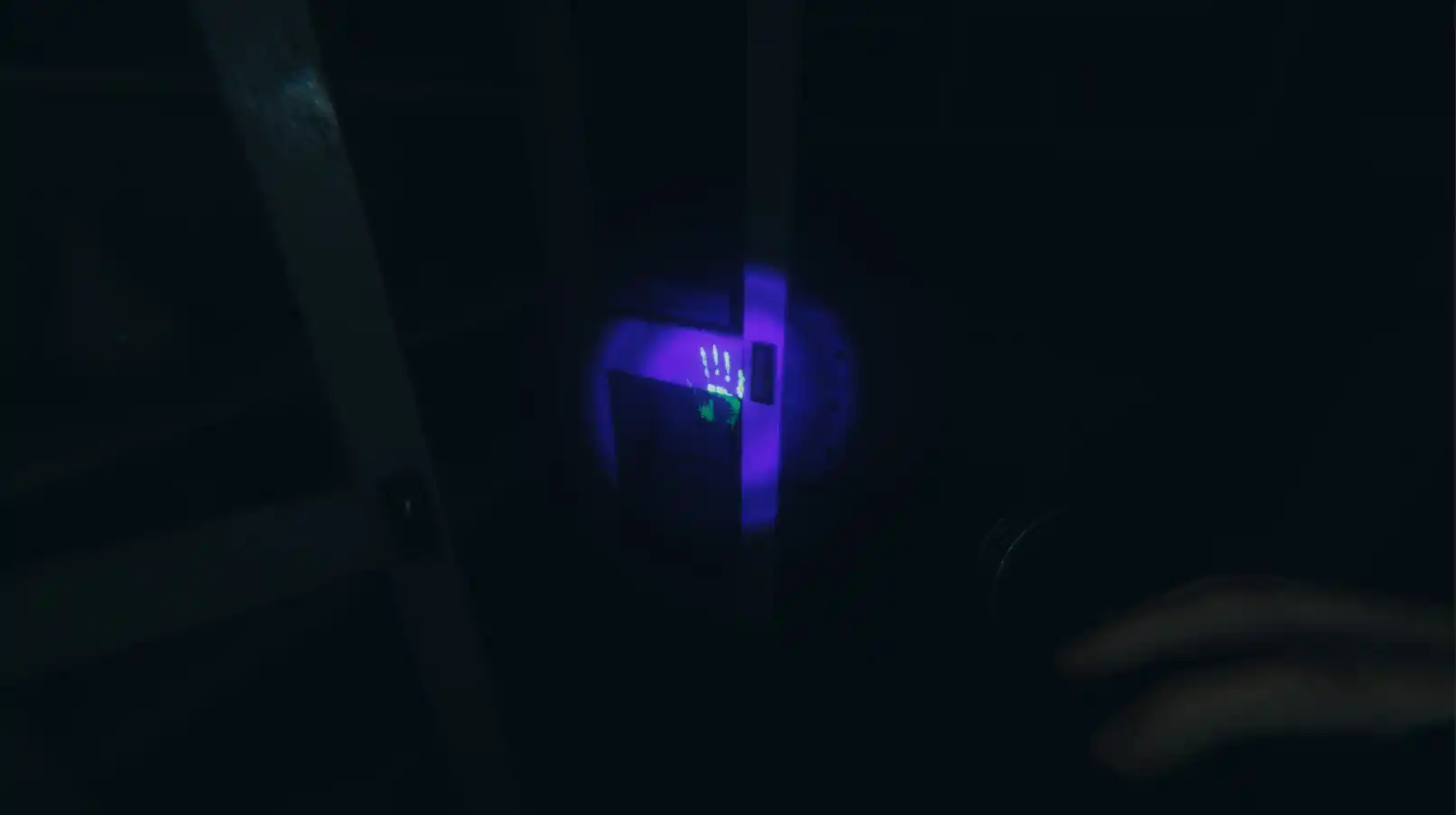 1668768528705809.jpg
