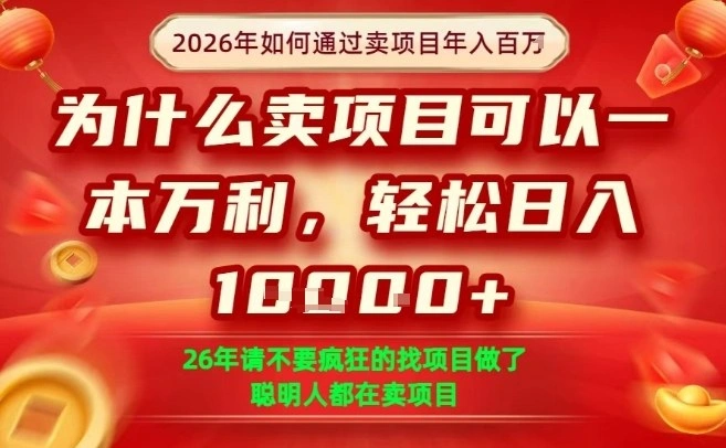 一单净利润1K+，26年想年入100个W，死磕卖项目就够了【揭秘】-科技美南博客