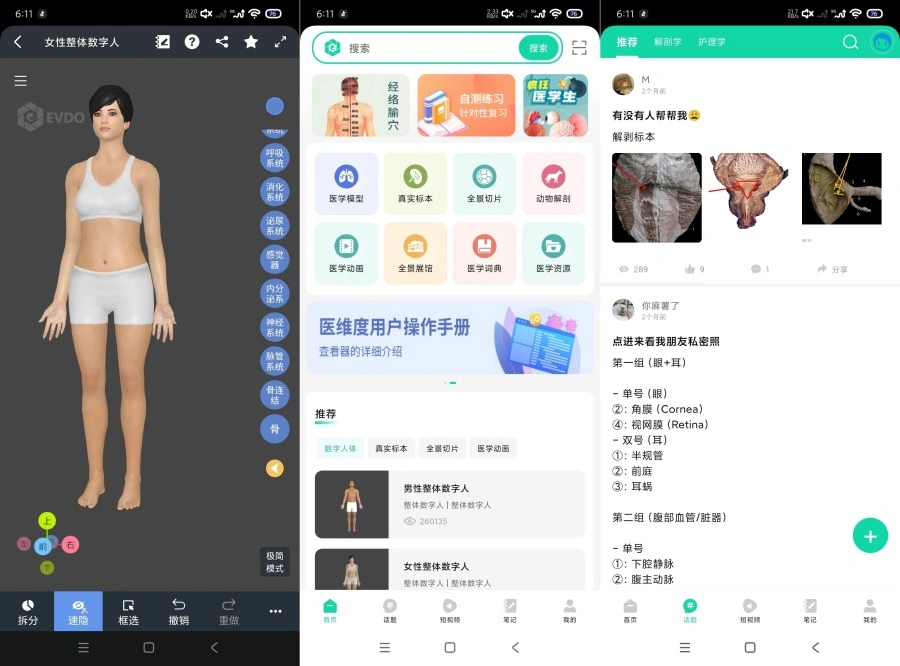 医维度解剖3.3.21一键解刨｜医学知识｜一键脱衣等-科技美南博客