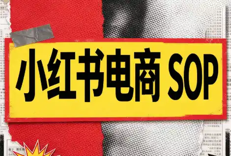 书豪必胜小红书电商sop(更新9月)-科技美南博客