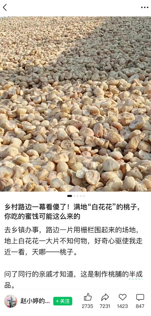 公众号小绿书贴图项目，赚收益实操玩法，听话照听话照少走90%弯路丨副业可做