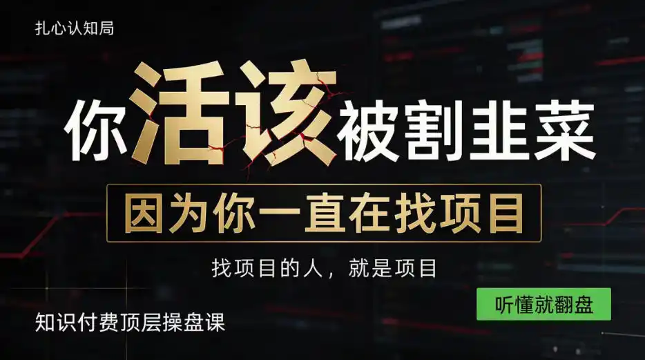 做项目不如卖项目，做知识付费自己当老板，知识付费顶层操盘课，听懂就翻盘【揭秘】-科技美南博客
