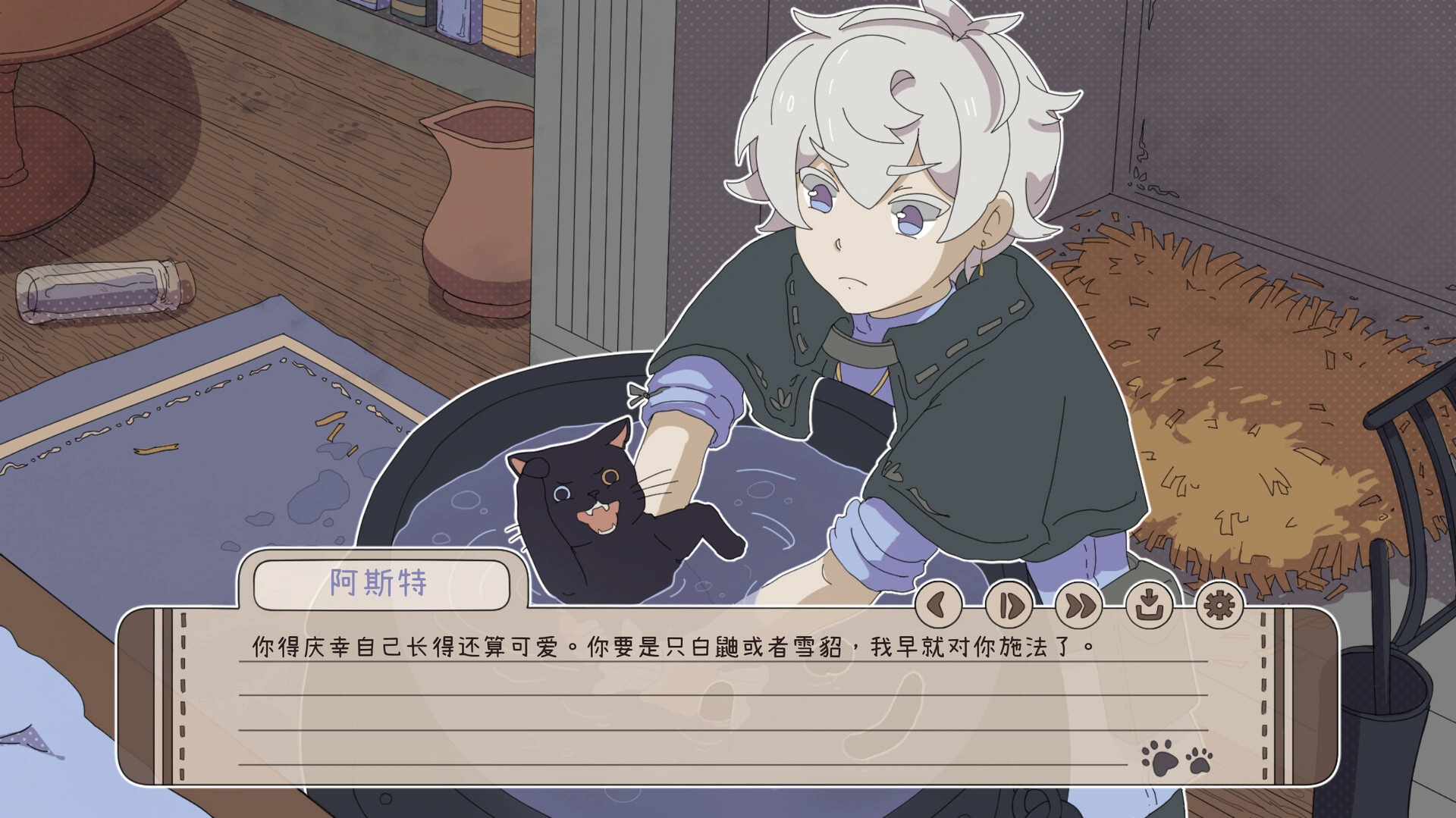 我家猫崽可爱到“刑”了！/My Confounding Cat is Criminally Cute!-科技美南博客