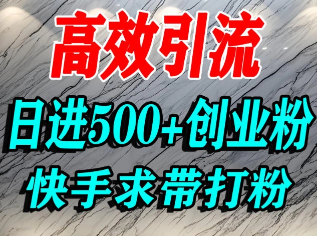 怎么打创业粉?快手求带视角精准引流创业粉,宝妈、学生群体日进500+精准流量-科技美南博客