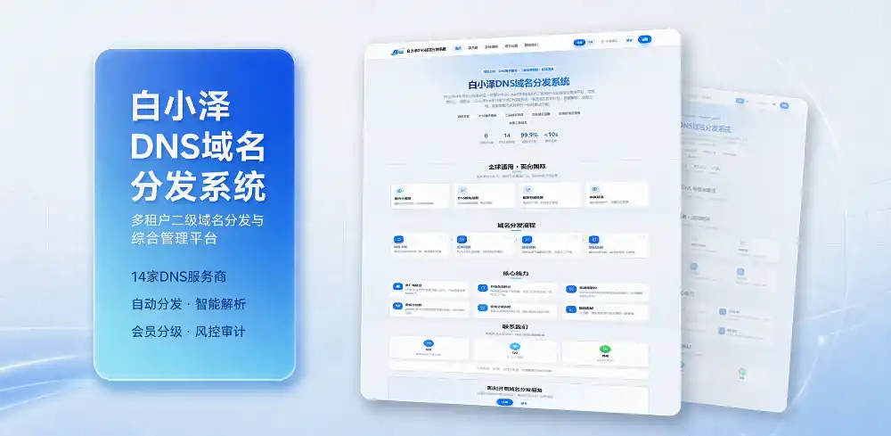 白小泽DNS域名分发系统 公测版 v1.0.0-科技美南博客