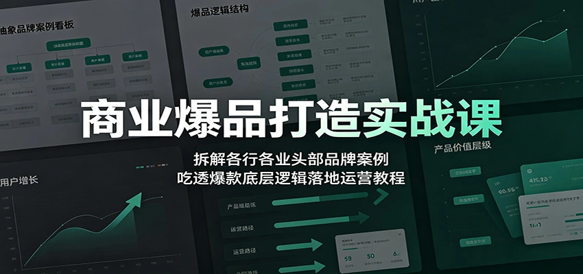 商业爆品打造实战课:拆解各行各业头部品牌案例,吃透爆款底层逻辑落地运营教程-科技美南博客