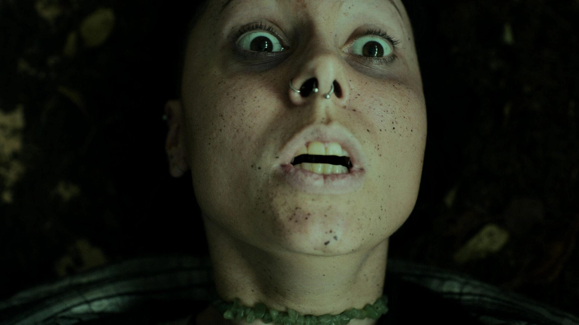 幽林深处/Heart of the Forest