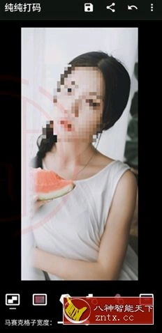 纯纯打码v4.10.2高级版-科技美南博客