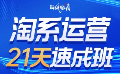 白凤电商·淘系运营21天速成班(更新4月)-科技美南博客