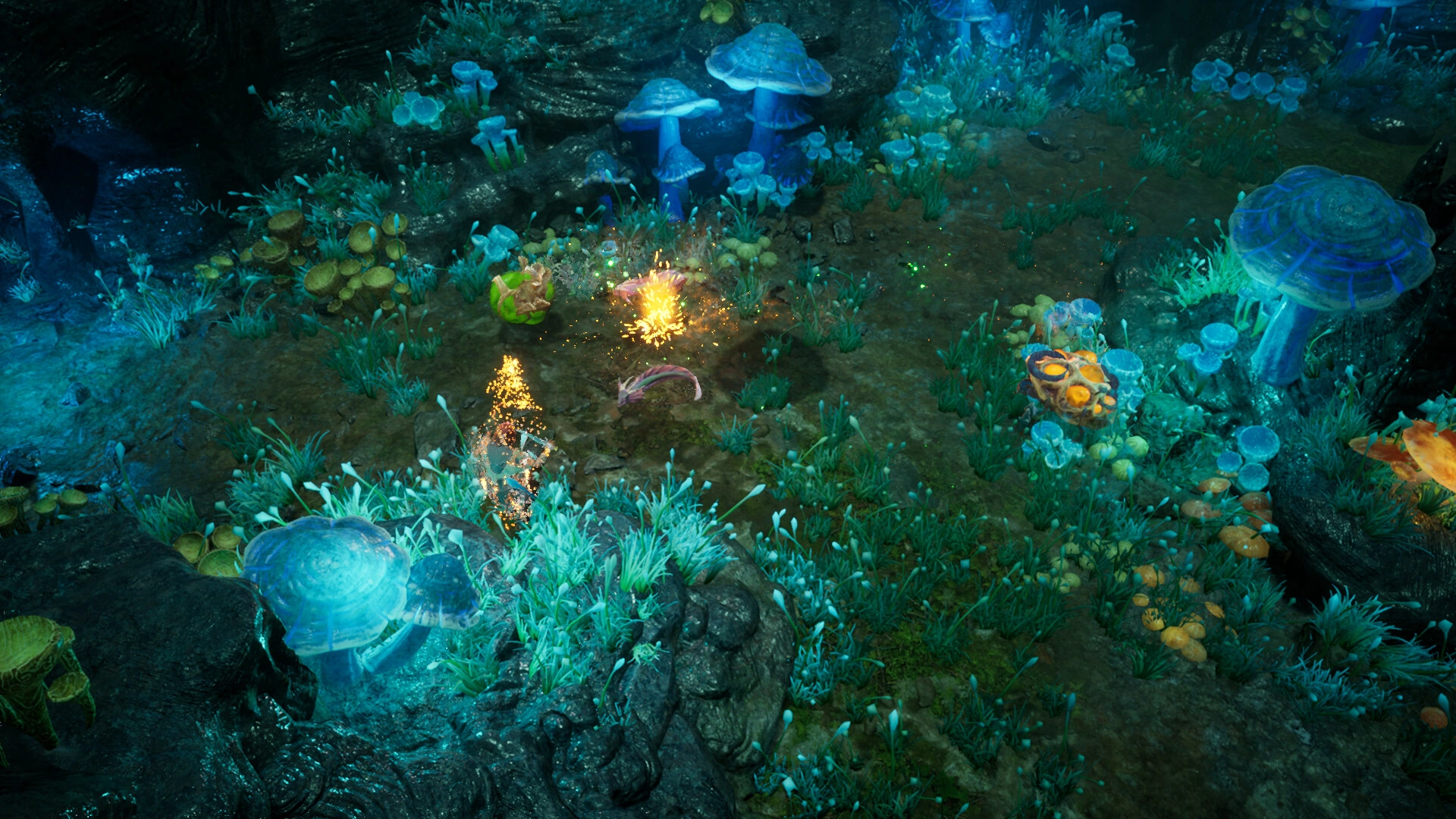 再次崛起/Rise Again