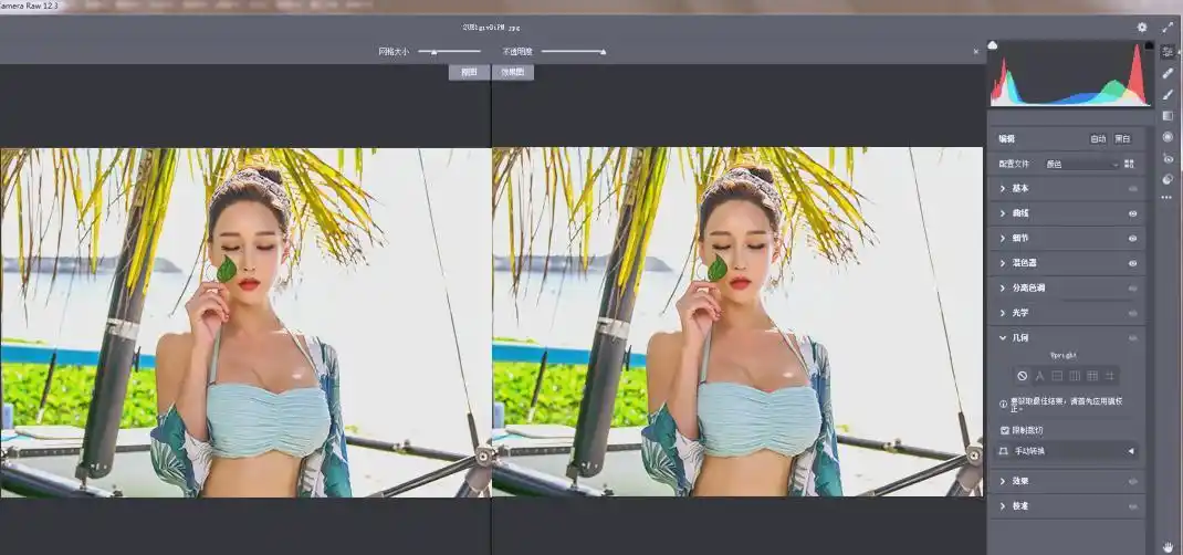 RAW处理Adobe Camera Raw v18.5.0中文版-科技美南博客