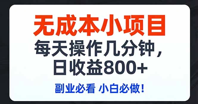 无成本小项目,每天操作几分钟,日收益800+ 副业必看 小白必做！-科技美南博客