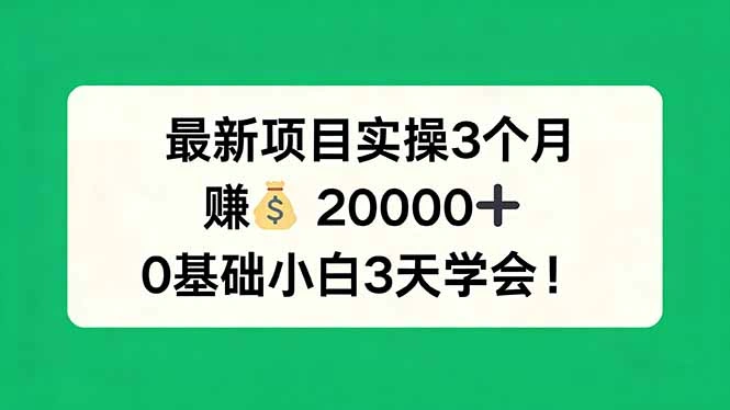 最新项目实操3个月，赚钱20000+，0基础小白3天学会！-科技美南博客