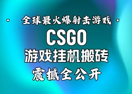 【年底大揭秘】基于全球最火爆的射击CSGO游戏挂G搬砖，日入5张+，震撼公开-科技美南博客