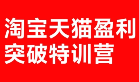 玺承·淘宝天猫盈利突破特训营(25年12月线下课)【音频+字幕】-科技美南博客