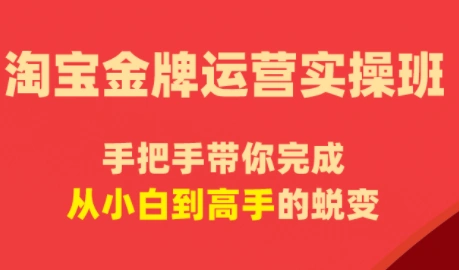 飓风电商·淘宝金牌运营实操班-科技美南博客