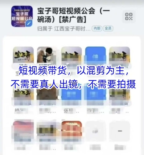 宝子哥头部团队短视频带货，以混剪为主，不需要真人出镜，不需要拍摄【更新12月】-科技美南博客