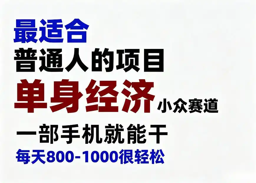 身经济小众赛道，一部手机就能干，每天搞个800-1000很轻松，最适合普通人的项目【揭秘】-科技美南博客