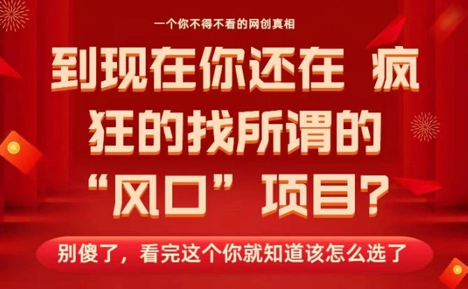 马上26年了，你还在找所谓的风口项目？别傻了，看完这个你全都懂了！【揭秘】-科技美南博客