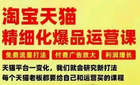 淘宝天猫精细化爆品运营课，免费流量打法-付费广告放大-利润增长-三大核心痛点，一次全部解决-科技美南博客