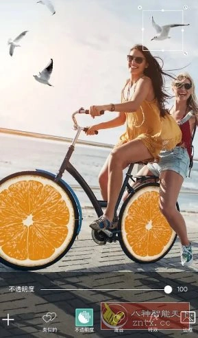 Picsart美易 v28.9.10 高级版-科技美南博客