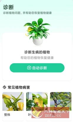 Plant Parent 植物养护v1.105高级版-科技美南博客