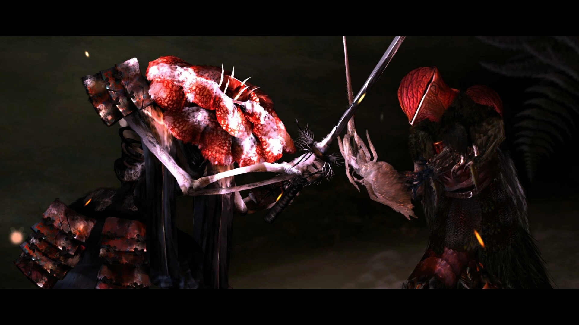 永恒秩序/Perennial Order-科技美南博客